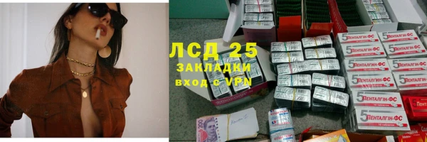 молекула духа Мегион