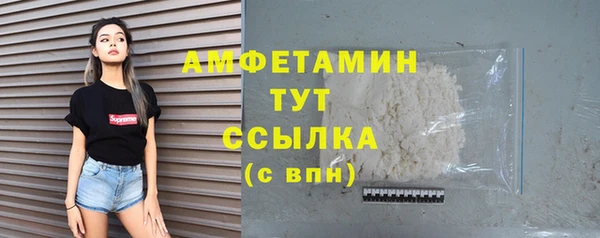 молекула духа Мегион