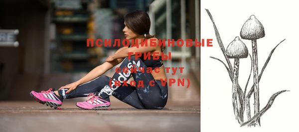 мескалин Медвежьегорск