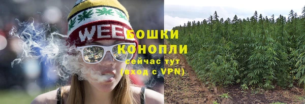 молекула духа Мегион