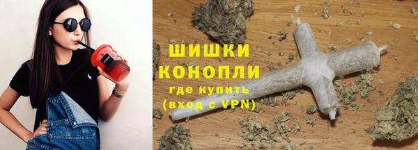 молекула духа Мегион