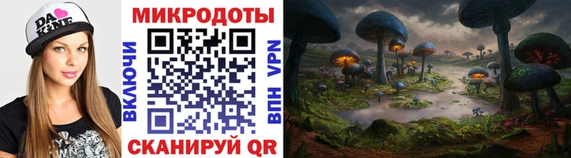Псилоцибиновые грибы Psilocybe  наркота  Никольск 